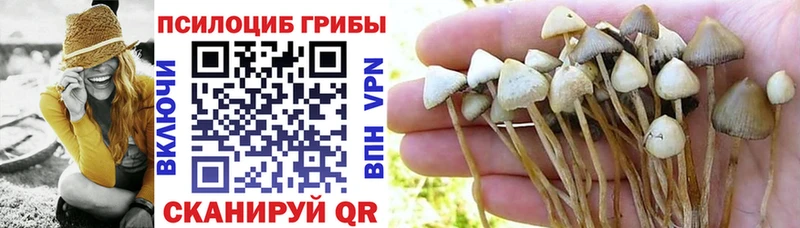 KRAKEN онион сколько стоит Ставрополь Псилоцибиновые грибы MAGIC MUSHROOMS